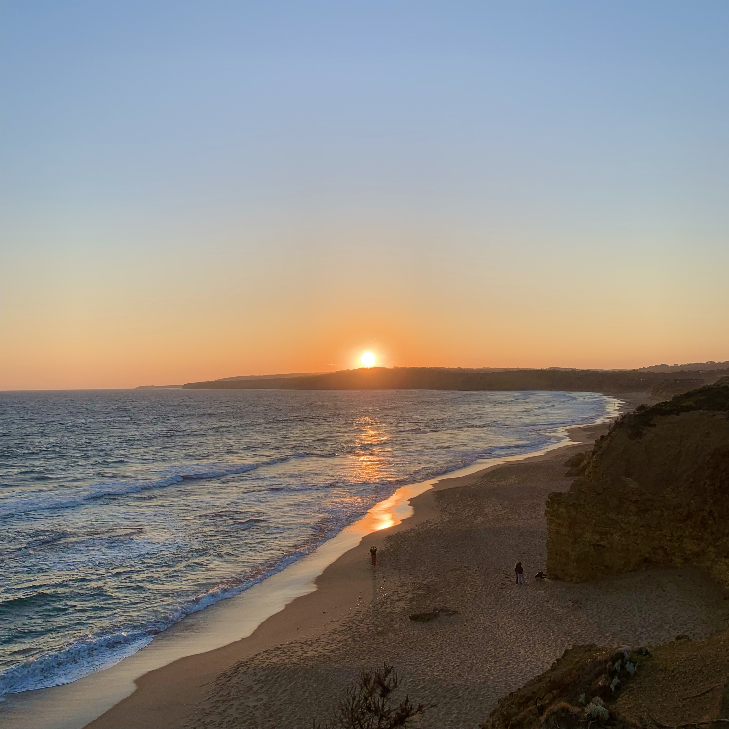 695DFDDE-9099-41FD-B081-EC3B68D5E0B4_1_201_a