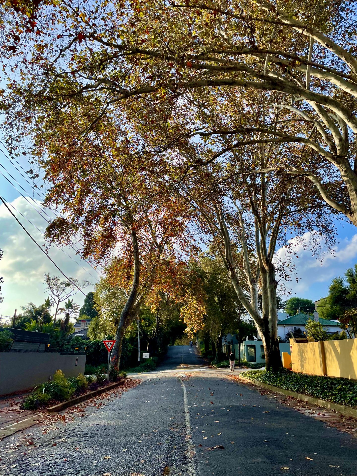 Rue de la banlieue de Johannesburg
