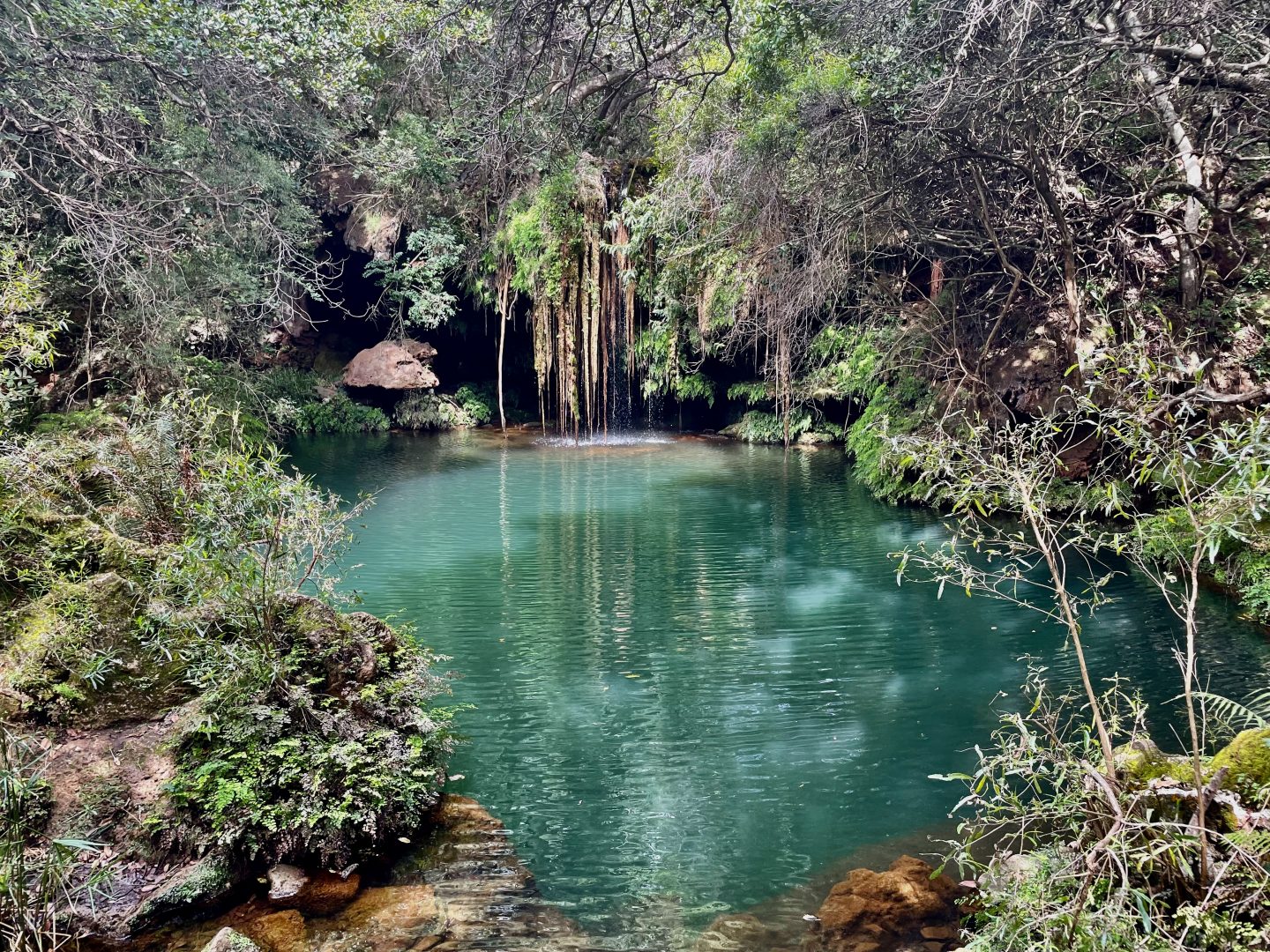 La féérie des randonnées de Blyde river Canyon