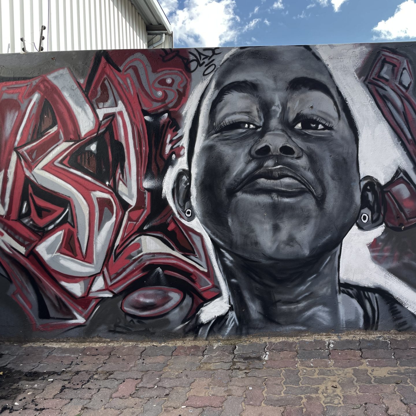 La street art, Visage face à Johannesburg Quartier de Maboneng