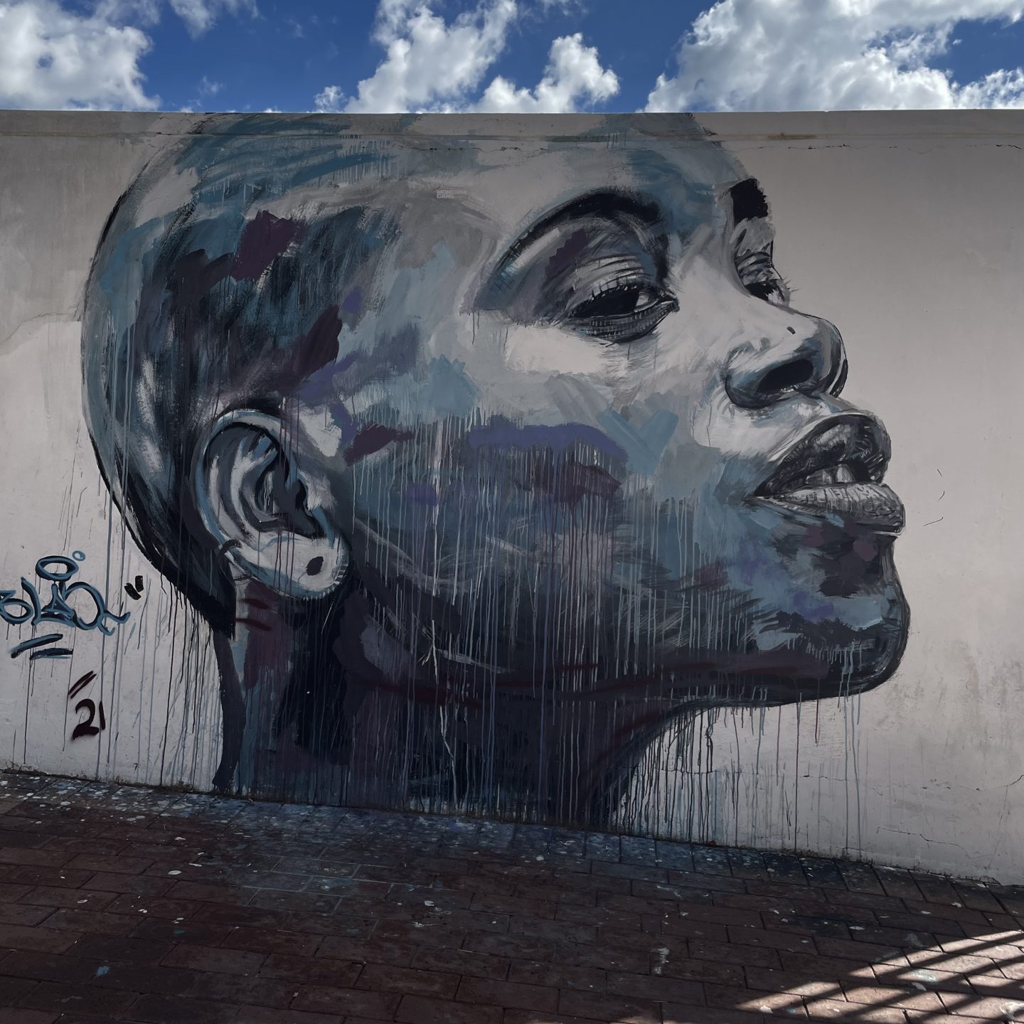 La street art, Visage à Johannesburg Quartier de Maboneng